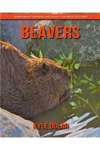 Beavers! Learn about Beavers and Enjoy Colorful Pictures