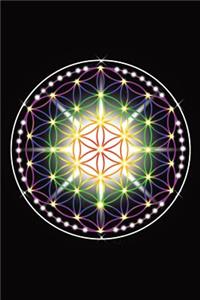 The Chakras Flower of Life Daily Diary 2019: A Diary of Important Observances and Religious Dates and Moon Phases
