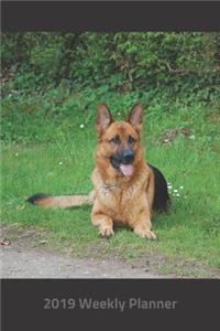 Plan on It 2019 Weekly Calendar Planner - German Shepherd Humans Best Friend