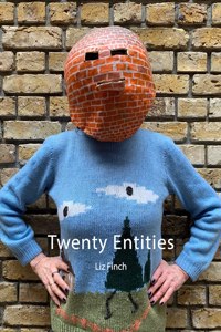 Liz Finch: Twenty Entities