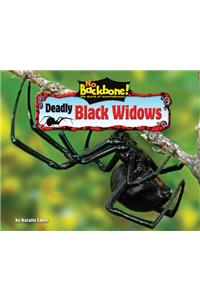 Deadly Black Widows