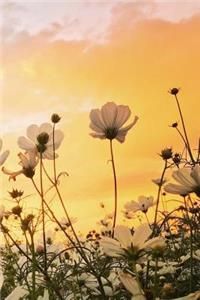 Be Who You Are Journal