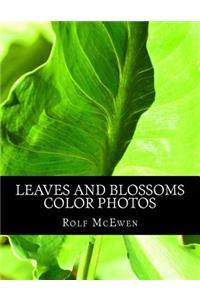 Leaves and Blossoms - Color Photos