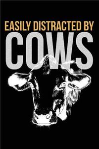 Easily Distracted by Cows