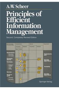 Principles of Efficient Information Management