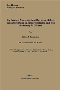 Fossilen Asseln Aus Den Oberjuraschichten Von Ernstbrunn in Niederösterreich Und Von Stramberg in Mähren