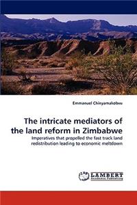 Intricate Mediators of the Land Reform in Zimbabwe