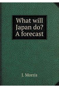 What will Japan do? A forecast