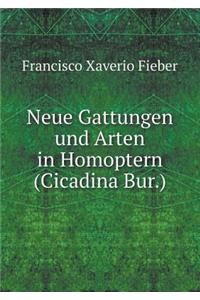 Neue Gattungen und Arten in Homoptern (Cicadina Bur.)