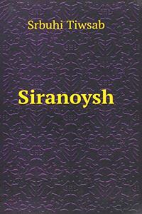 Rasskaz ob Odnom Romane (B2)