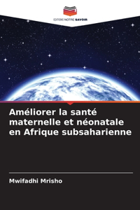 Améliorer la santé maternelle et néonatale en Afrique subsaharienne