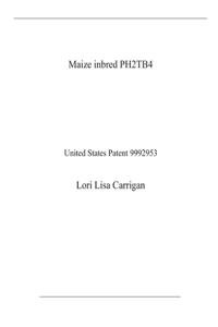Maize inbred PH2TB4
