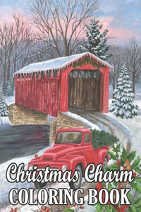 Christmas Charm Coloring Book