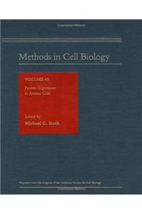 Protein Expression in Animal Cells (Methods in Cell Biology Book 43)