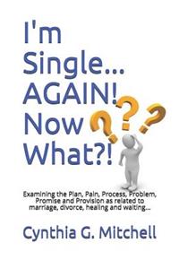 I'm Single... AGAIN! Now What?!