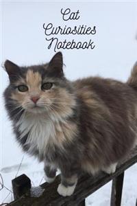 Cat Curiosities Notebook