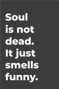 Soul Is Not Dead