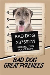 Bad Dog Great Pyrenees