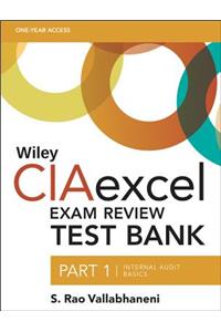 Wiley Ciaexcel Exam Review Test Bank