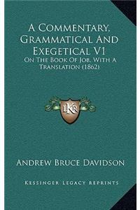 Commentary, Grammatical And Exegetical V1