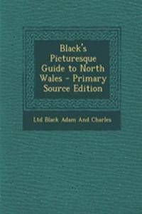 Black's Picturesque Guide to North Wales
