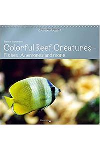 Colorful Reef Inhabitants - Fishes, Anemones and More 2017