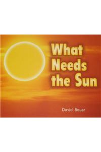 What Needs the Sun