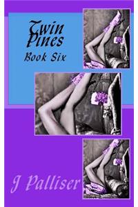 Twin Pines Book Six