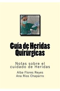 Guia de Heridas Quirurgicas