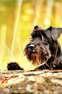 Adorable Black Miniature Schnauzer Puppy Dog Peeking Over a Log Journal