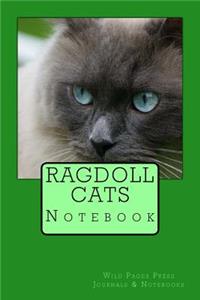 Ragdoll Cats