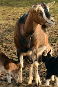 Mama Goat and Her Two Kids Journal