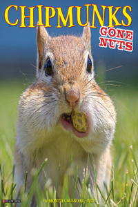 Chipmunks (Gone Nuts!) 2022 Wall Calendar