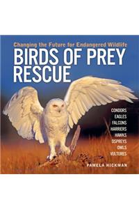 Birds of Prey Rescue: Changing the Future for Endangered Wildlife