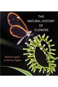 Natural History of Flowers the Natural History of Flowers