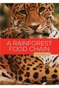 Rainforest Food Chain