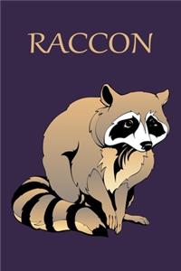 Raccoon Notebook