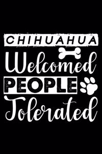 chihuahua Welcome People Tolerated