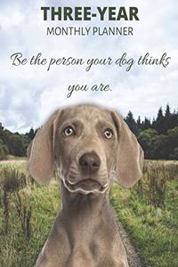 Three Year Monthly Planner Starting 2020 Agenda with Weekly Plan Space - Best Gift For Dog Owner - Funny Weimaraner Appointment Book for 2021 & 2022