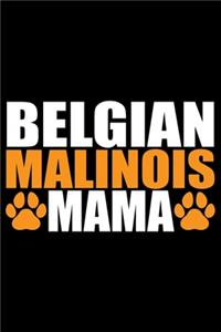 Belgian Malinois Mama