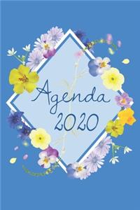 Agenda 2020