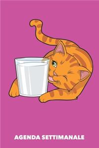 Agenda Settimanale