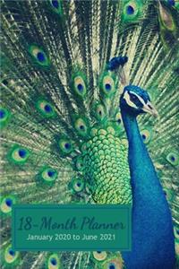 18-Month Planner - January 2020 to June 2021