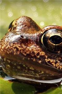 Frog Peeking out of the Water Journal
