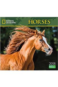 National Geographic Horses 2018 Wall Calendar