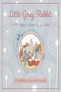 Little Grey Rabbit - Baby's First Year