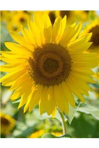Sunflowers Floral Notebook Journal 150 College Ruled Pages 8.5 X 11