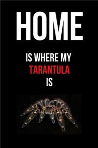 Home Is Where My Tarantula Is