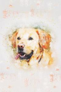 Labrador Retriever Journal