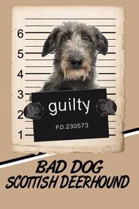Bad Dog Scottish Deerhound